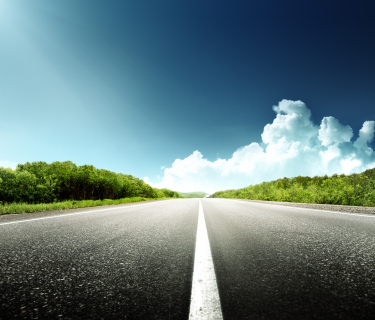 road in forest