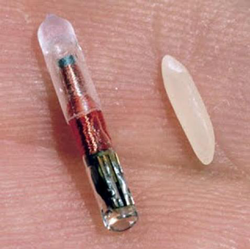 RFID chip next to a grain of rice (via Wikipedia)