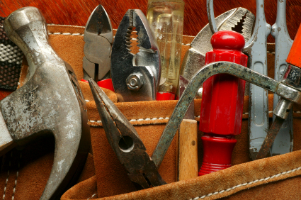 Motivated Evangelist, Practical Fixer or Control Freak? What have you got in your ITAM toolkit?