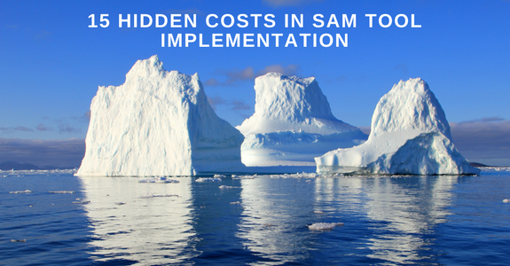 15 hidden costs in SAM tool implementation 