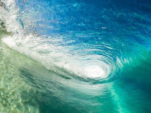 Dynamics 365 licensing changes