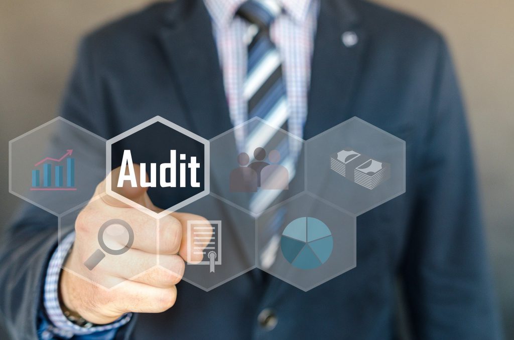 Audits in 2020