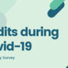 Software Audits during Covid-19